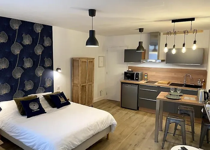 Alp Chartres - Cosy Studio Au Coeur De Chartres Avec Parking